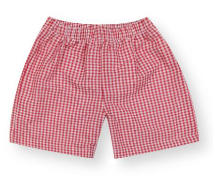 Gingham Shorts